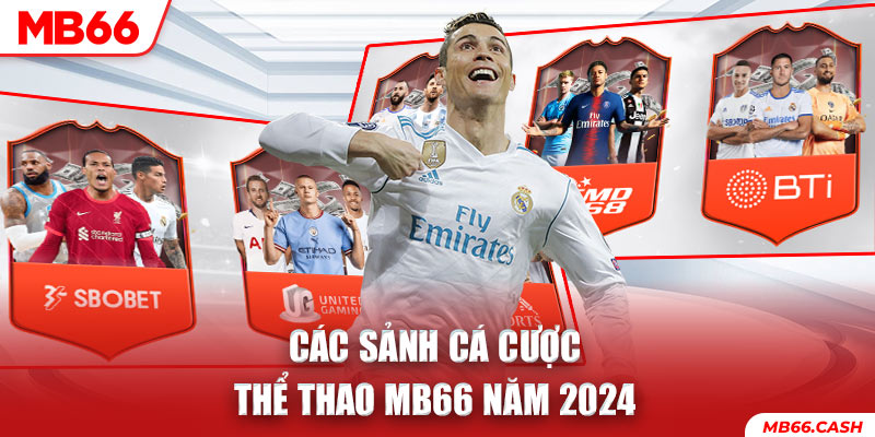 Các sảnh cá cược thể thao MB66 năm 2024