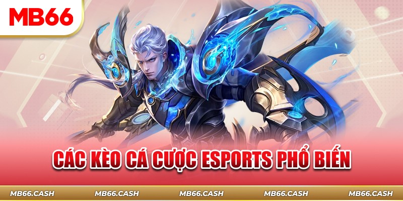 Các kèo cá cược esports phổ biến