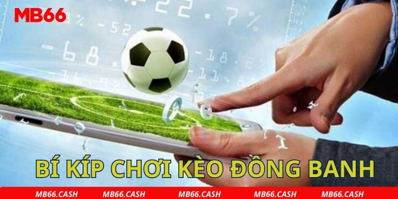 Một số mẹo chơi kèo đồng banh luôn thắng